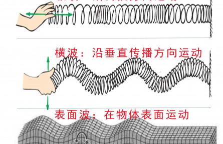 纵波横波表面波